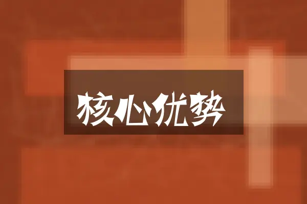 核心优势