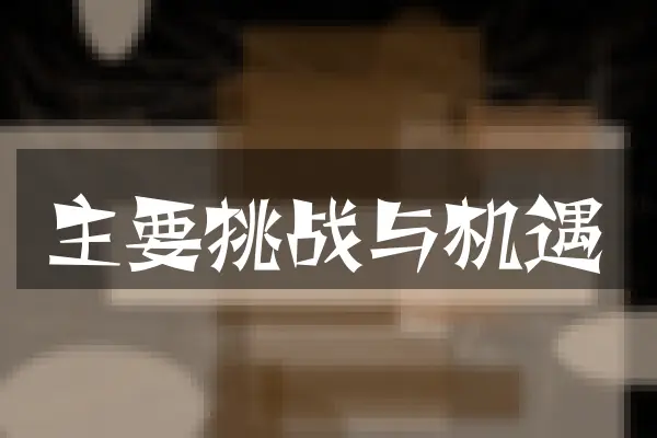 主要挑战与机遇